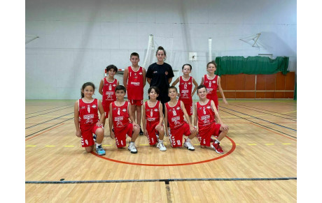 DM U11-1